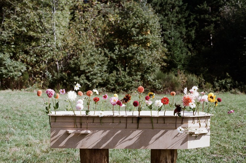 Pivert Photo 23 01 2026